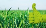 Greenclean