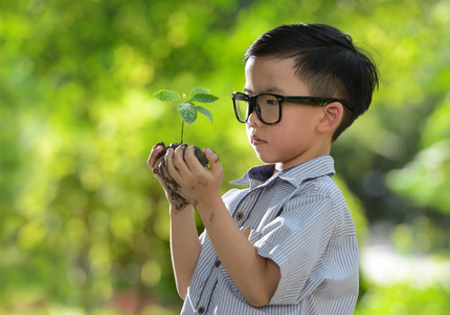 Plant Tree.jpg