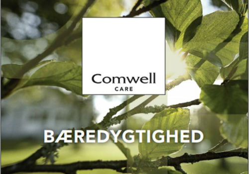 comwellbaeredygtighed2017